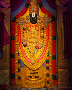 Tirupati Balaji Darshan